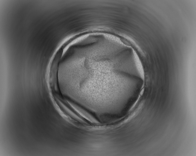 X0000086931038200705141738