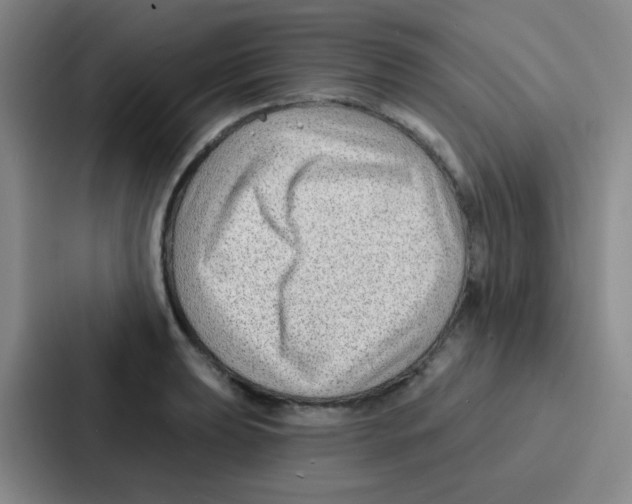 X0000086931039200705141738