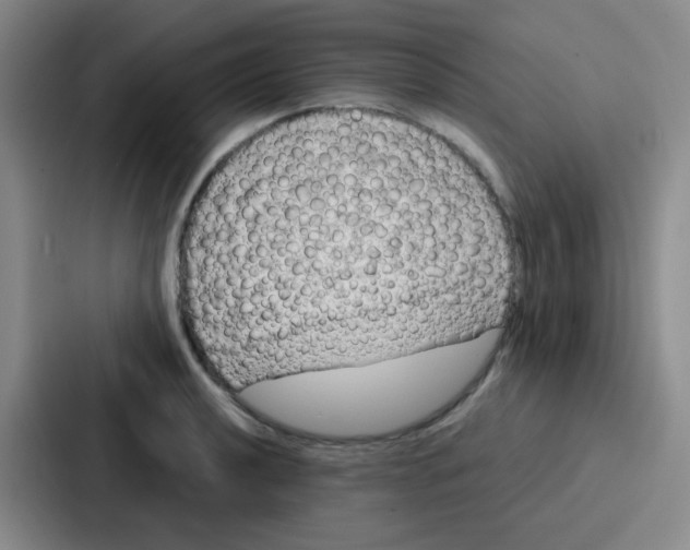 X0000086931040200705141738