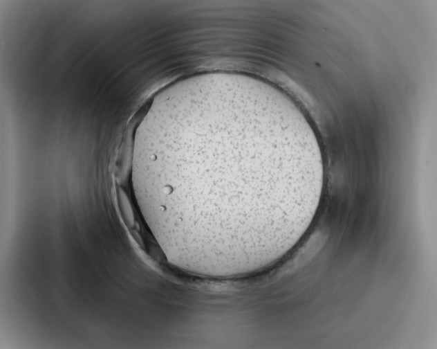 X0000086931041200705141738