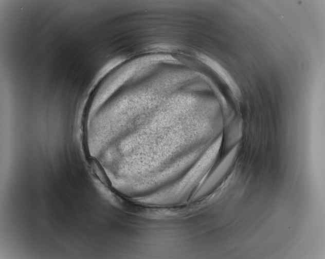 X0000086931042200705141738