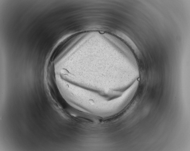 X0000086931043200705141738