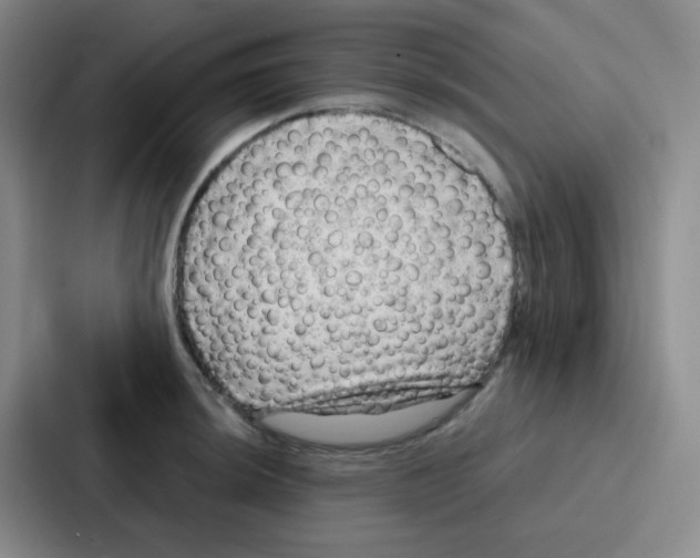 X0000086931044200705141738