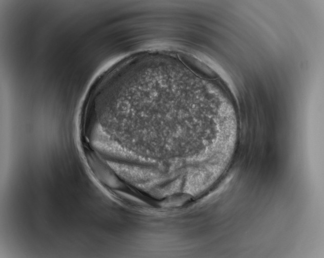 X0000086931045200705141738