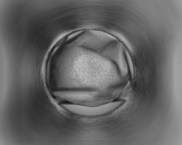 X0000086931046200705141738