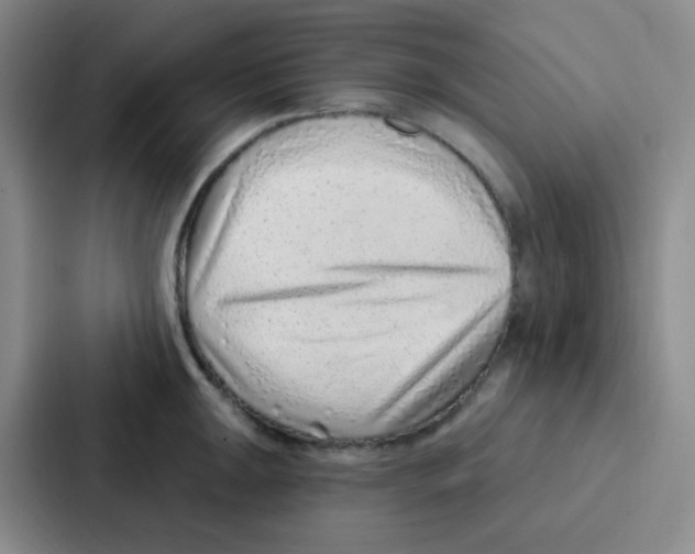 X0000086931047200705141738