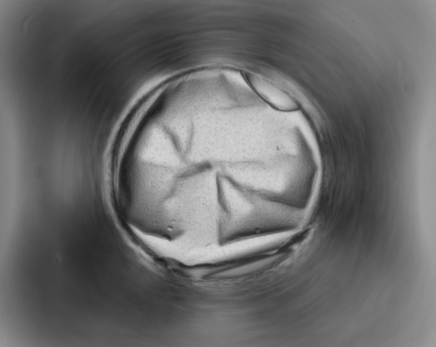 X0000086931048200705141738