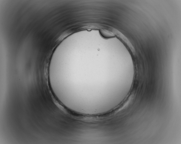 X0000086931049200705141738