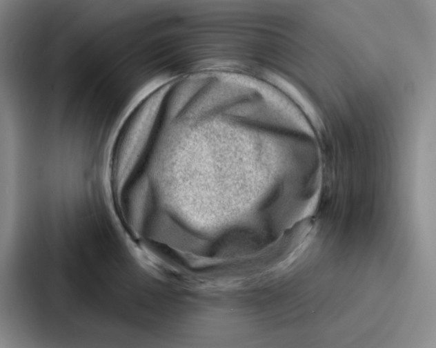 X0000086931050200705141738