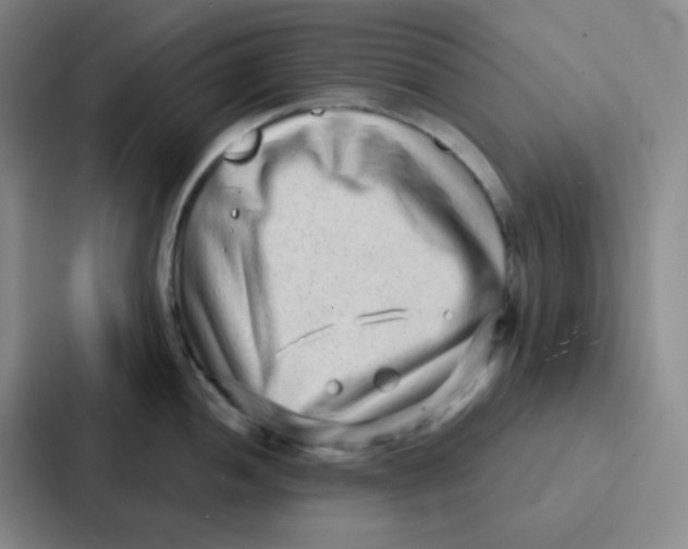 X0000086931052200705141738