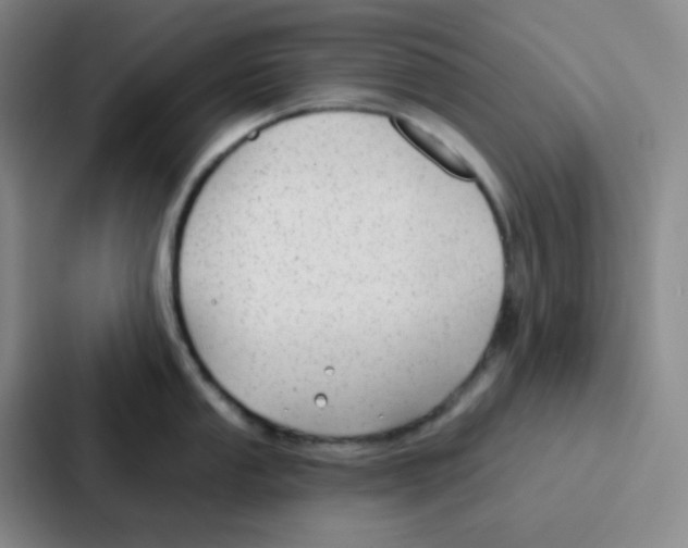 X0000086931053200705141738