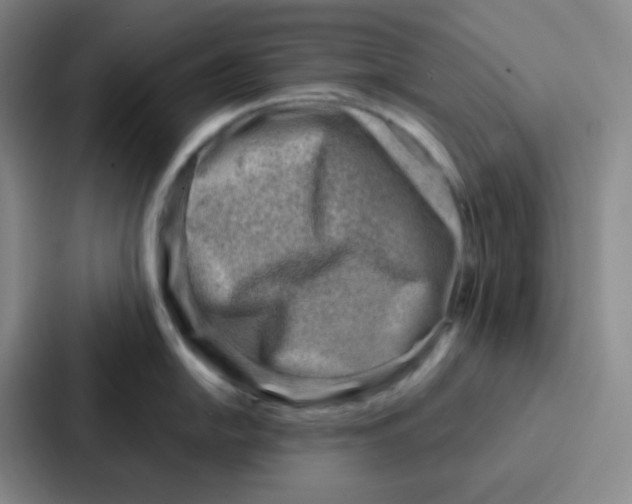 X0000086931054200705141738