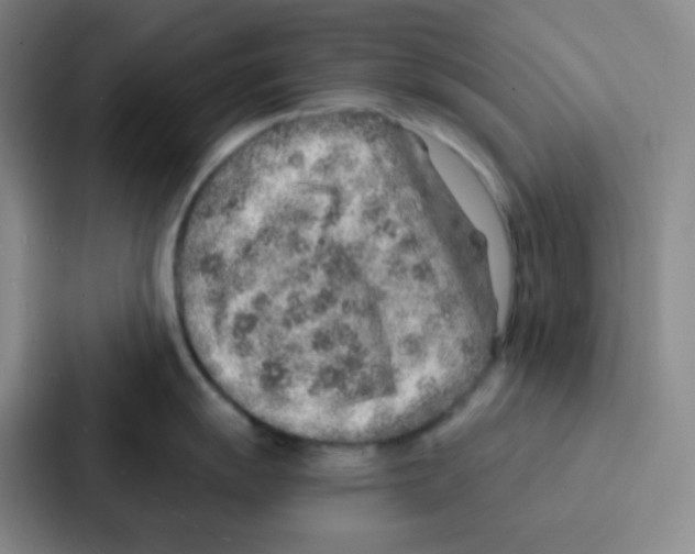 X0000086931055200705141738