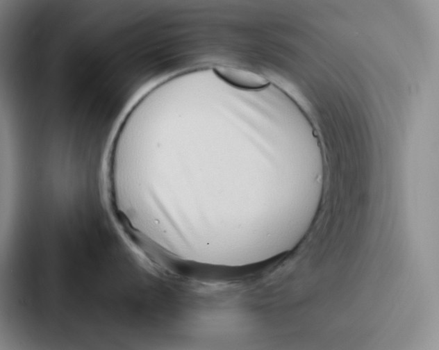 X0000086931056200705141738