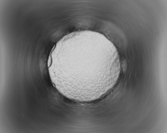 X0000086931059200705141738