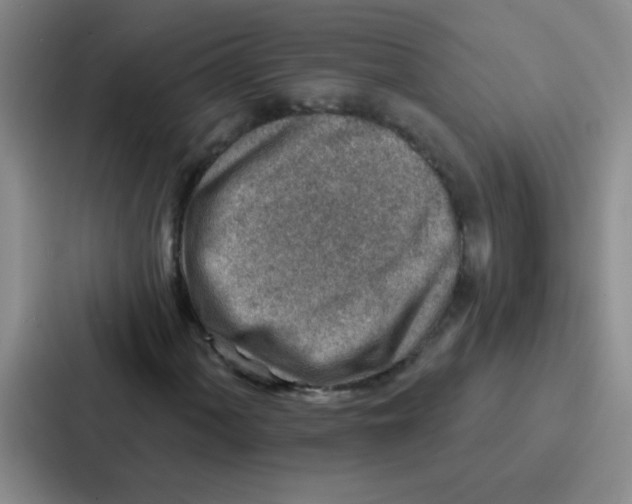 X0000086931060200705141738