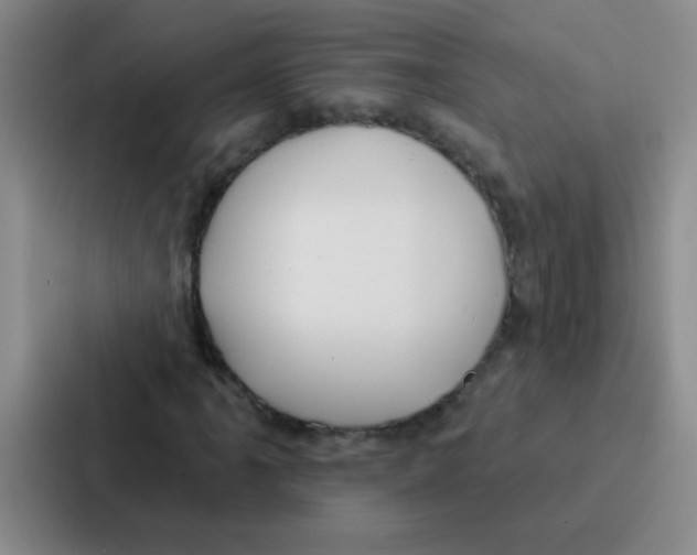 X0000086931061200705141738