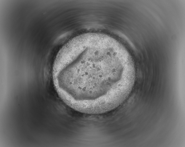 X0000086931063200705141738