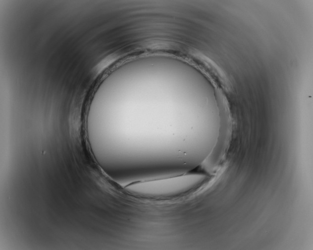 X0000086931065200705141738