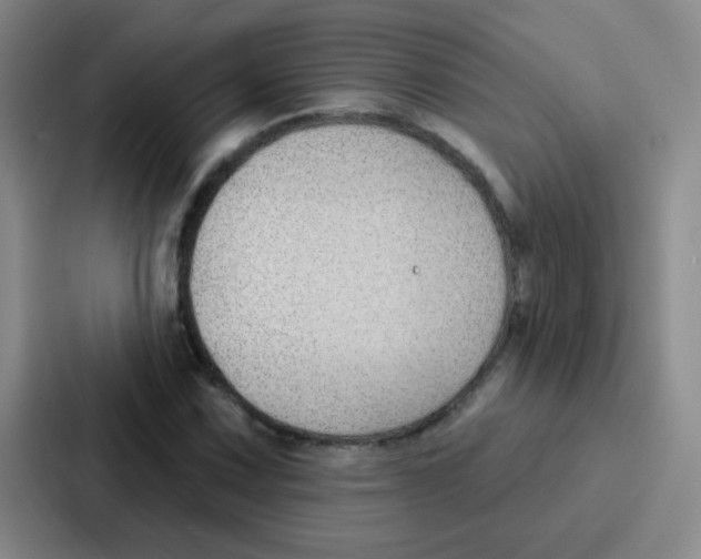 X0000086931067200705141738