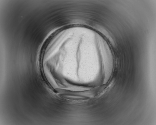 X0000086931068200705141738