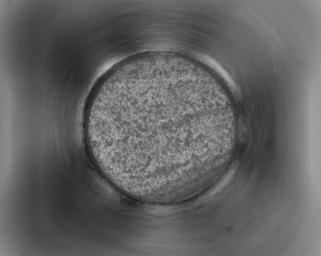 X0000086931071200705141738