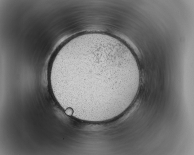 X0000086931075200705141737