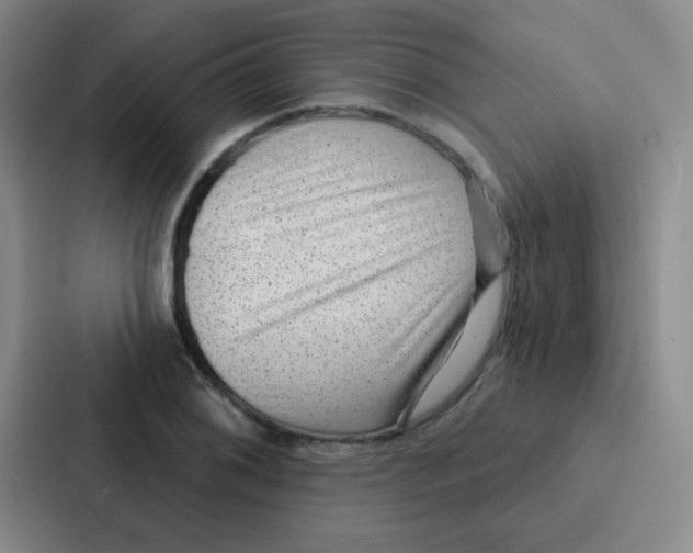 X0000086931076200705141737