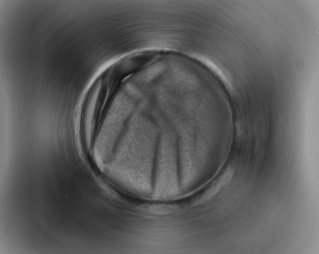 X0000086931077200705141737