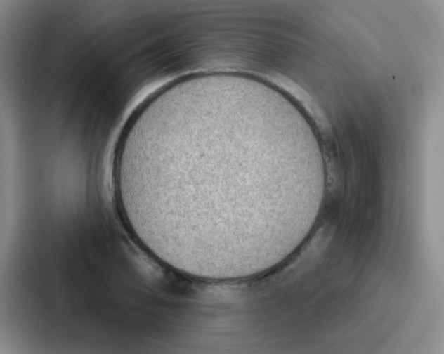 X0000086931078200705141737