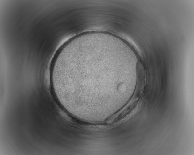 X0000086931079200705141737