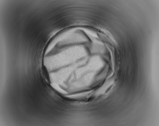 X0000086931081200705141737