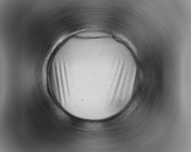 X0000086931083200705141737