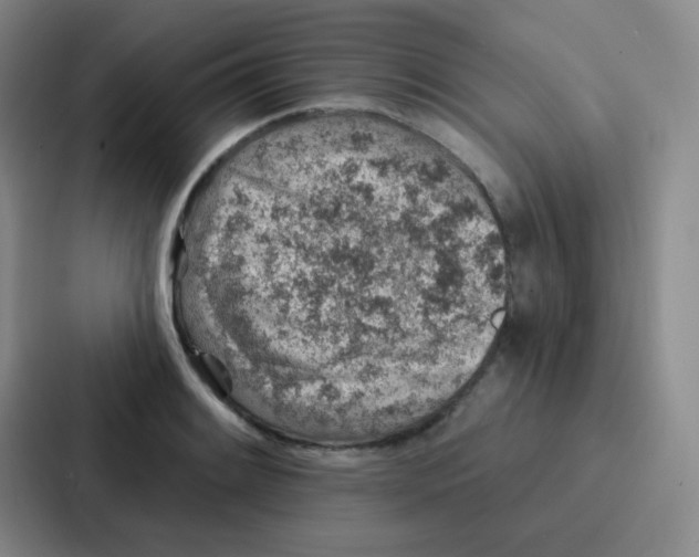 X0000086931084200705141737