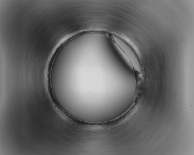 X0000086931085200705141737