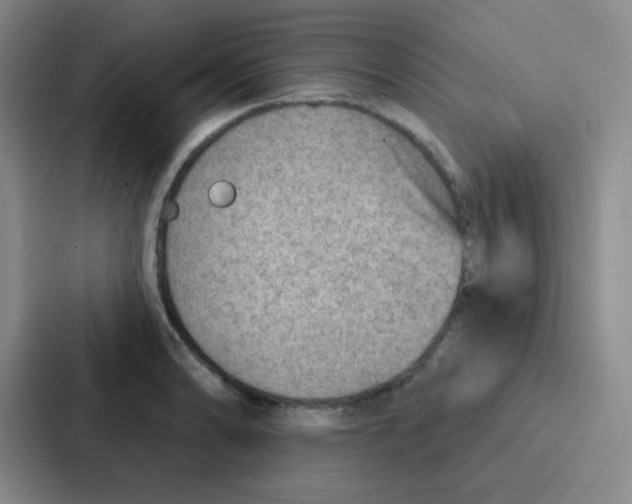 X0000086931086200705141737