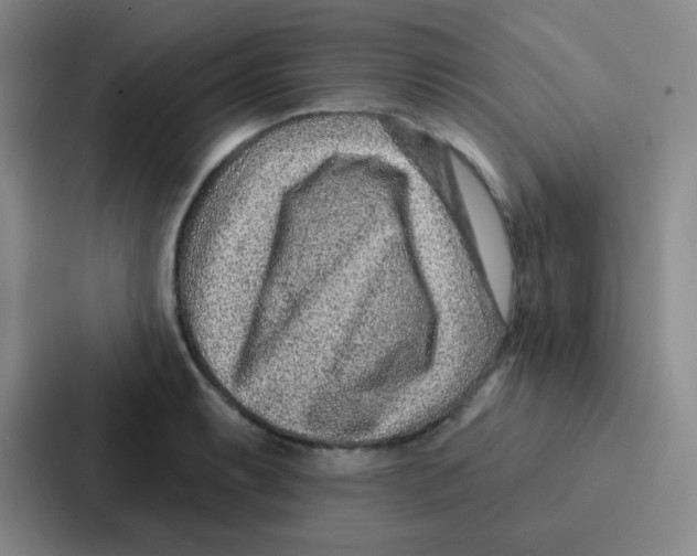 X0000086931087200705141737