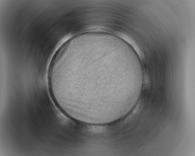 X0000086931090200705141737