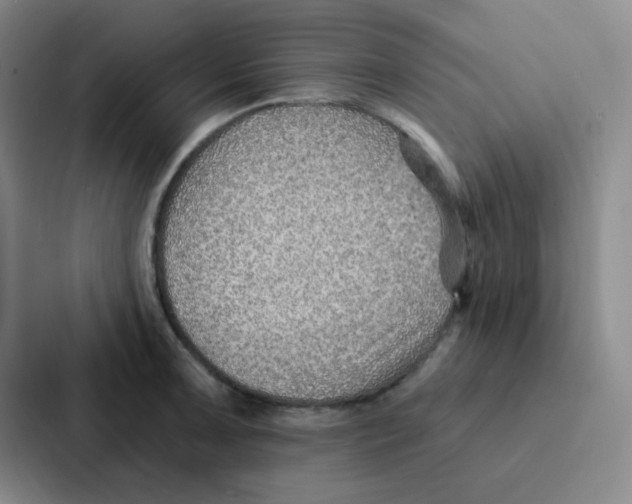 X0000086931091200705141737