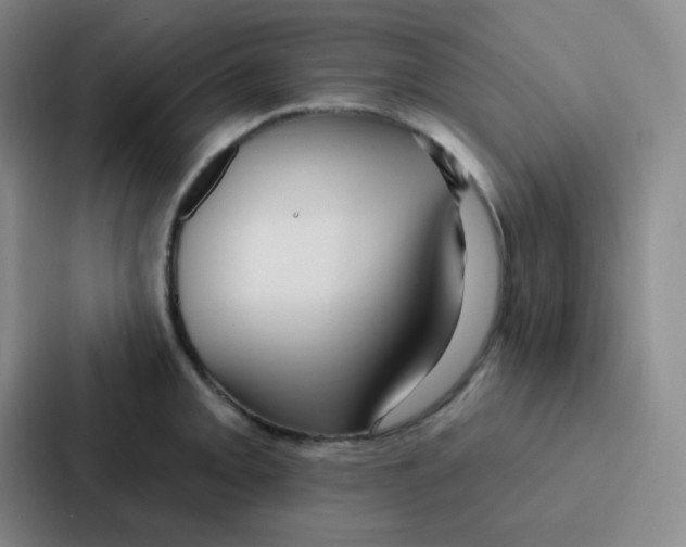 X0000086931093200705141737