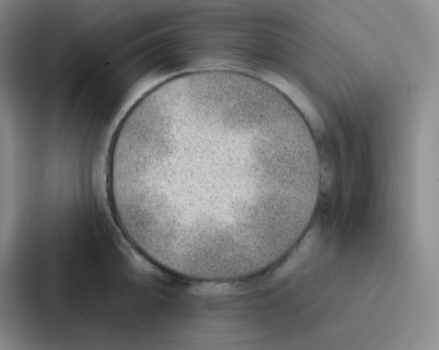 X0000086931094200705141737