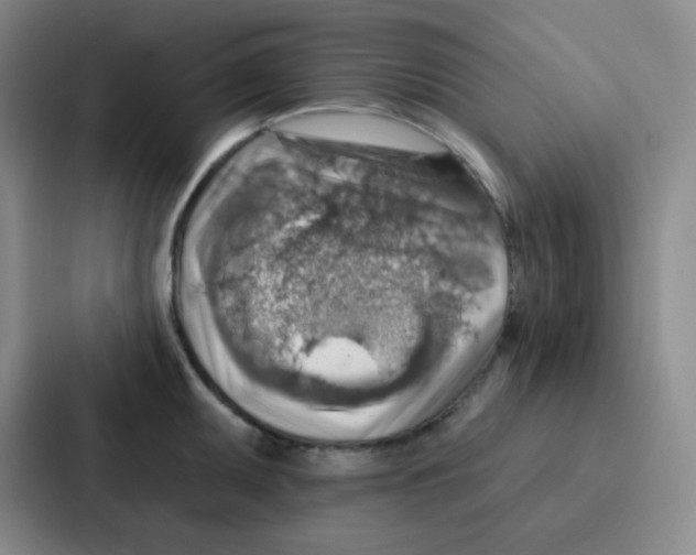 X0000086931095200705141737