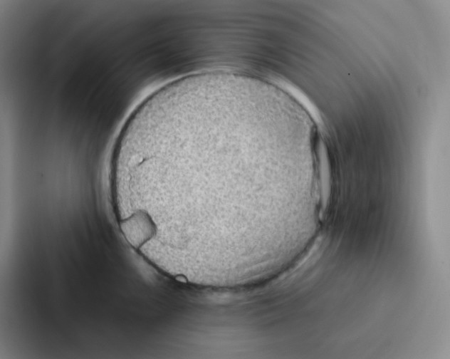 X0000086931099200705141737