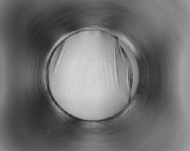 X0000086931100200705141737