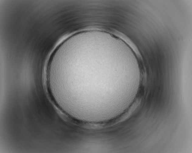 X0000086931101200705141737