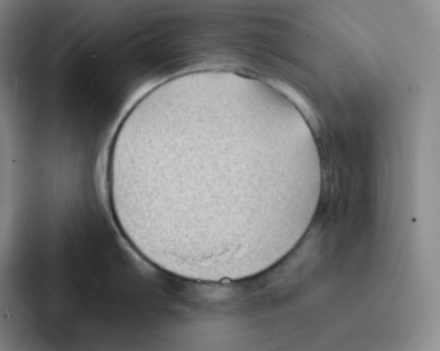 X0000086931103200705141737