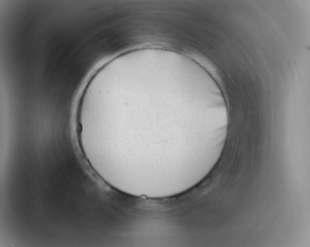 X0000086931104200705141737