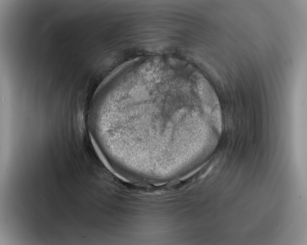 X0000086931106200705141736