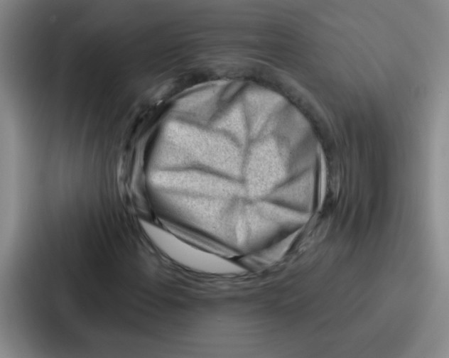 X0000086931108200705141737