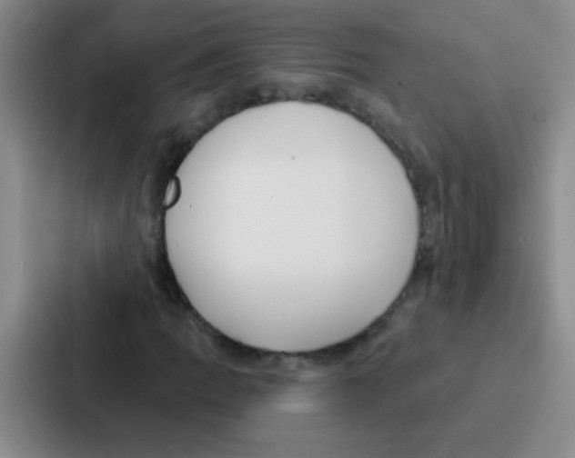 X0000086931109200705141737